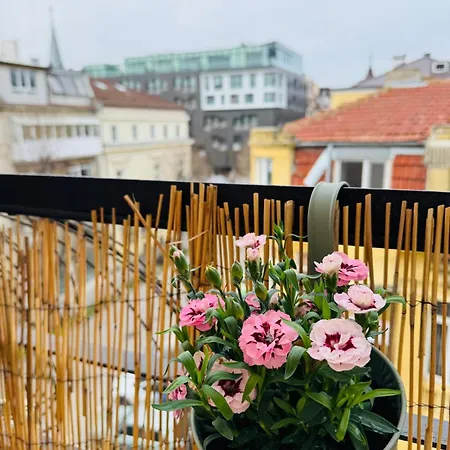 синьо лято Varna